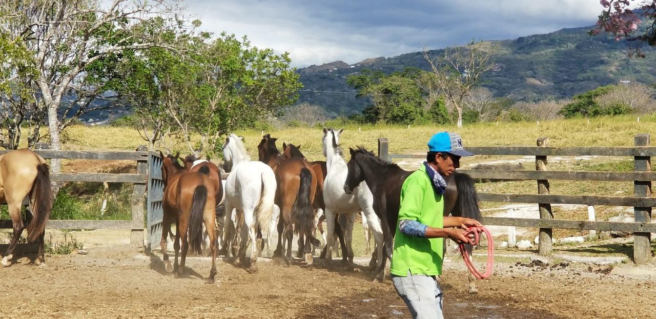 Hotel Hacienda El Rodeo Вуэльтас Экстерьер фото